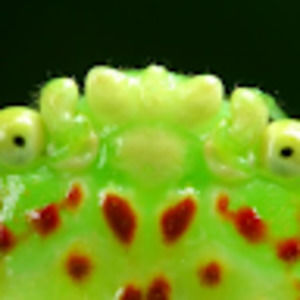 Meet your Posher, Camryn